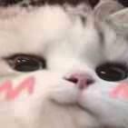 undefined的个人资料头像