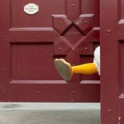 猿始大猩猩的个人资料头像