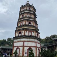 有趣的熊猫1lc头像