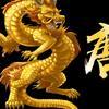 高原陆军头像