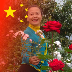 爱跳的鱼头像