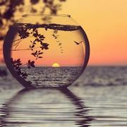 红鲤鱼_的个人资料头像