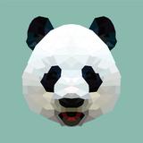 极客科里2g7头像