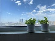 平平无奇的小前端的个人资料头像