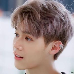 who怕who鸭头像