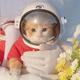 分秒必争星空9h3头像