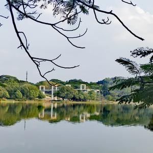 青衫烟雨头像