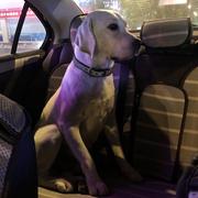 小林的掘金号的个人资料头像