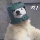 用户6544883754142头像