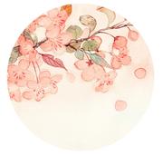 Shirley150的个人资料头像