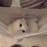 理智489头像
