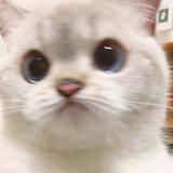 用户7815784681351头像