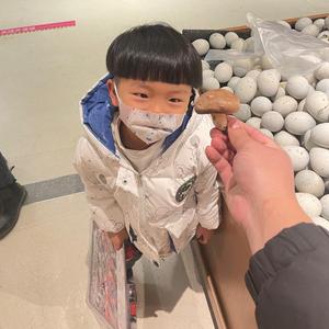 声屏障护栏网生产厂家头像