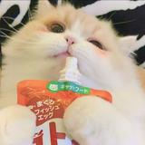 ℒℴνℯ归零3411头像