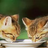 灬像个话题头像