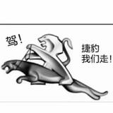 这狮子真标志头像