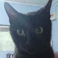 用户240529101805头像