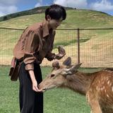 Curry情迷奥克兰㉚头像
