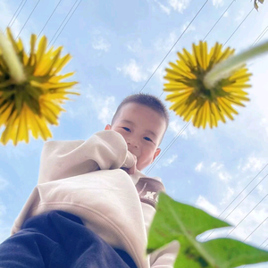 小睿妈咪（教剪辑）头像