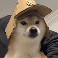 荔枝要冻了才好吃头像