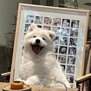 Reeeeeee的个人资料头像
