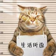 ther350的个人资料头像