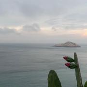 Cisco880的个人资料头像