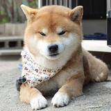 要光脚爬珠峰头像