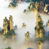 用户4958835737892头像