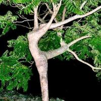 自在爱生活的阿龙头像