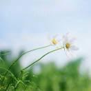 最初在掘金的个人资料头像