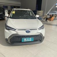 巴宝莉正品风衣头像