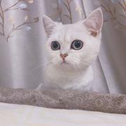 豆芽w的个人资料头像