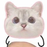 用户262970958头像