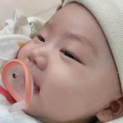 哒哒的马蹄儿的个人资料头像