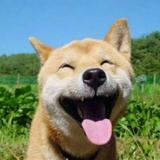 榴莲有点臭536头像
