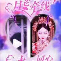 歌手张兆辉头像