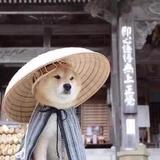 江湖莫相忘头像
