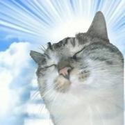 司南145的个人资料头像