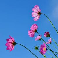 也无风雨也无晴9123头像