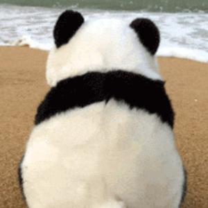 手机数码集中营头像