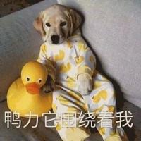 反正我选择躺着看头像