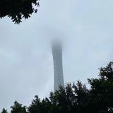 CIUM\立青劉℡头像