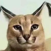 欧阳二驴头像