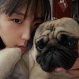 姚大帅真帅头像