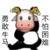 牛马lyyyn头像