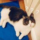 人间值得的个人资料头像