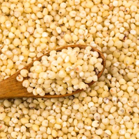 喵喵喵搞笑视频头像