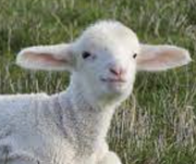 miemie123的个人资料头像