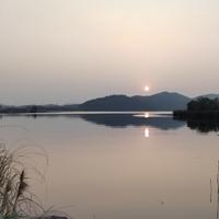 思考的豁达海风头像